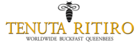 Buckfast Queen Bee 2025 Imported from Italy Tenuta Ritiro