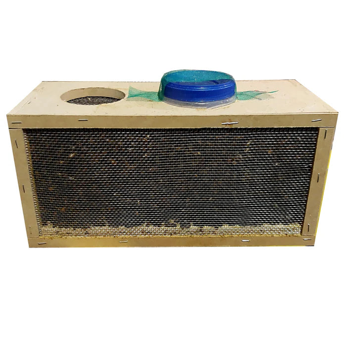 Chilean Bee Package - 1 Pound