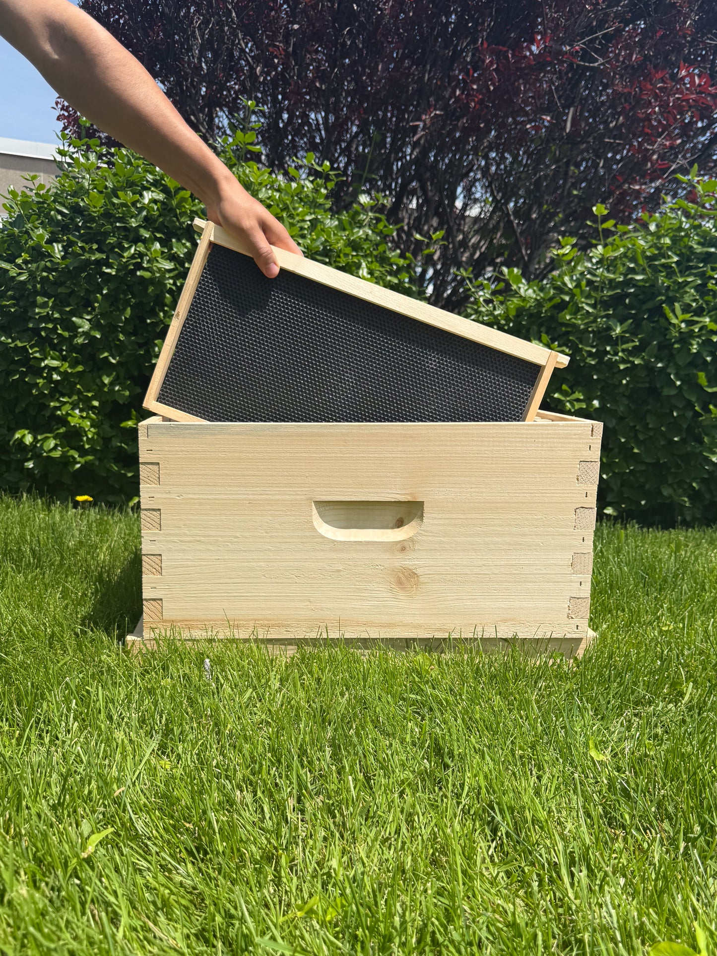Deep frame, assembled WITH waxed foundation
