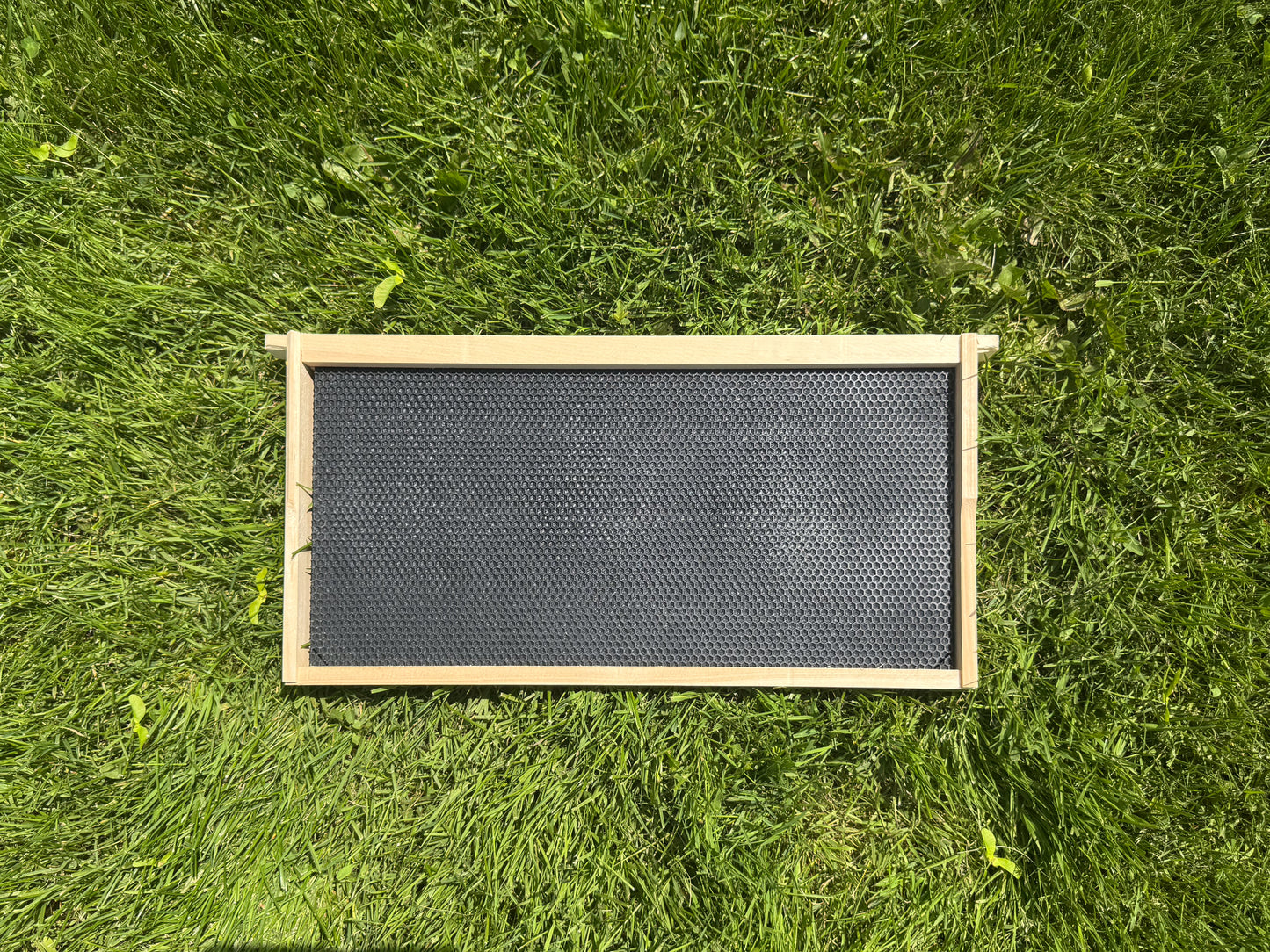 Deep frame, assembled WITH waxed foundation