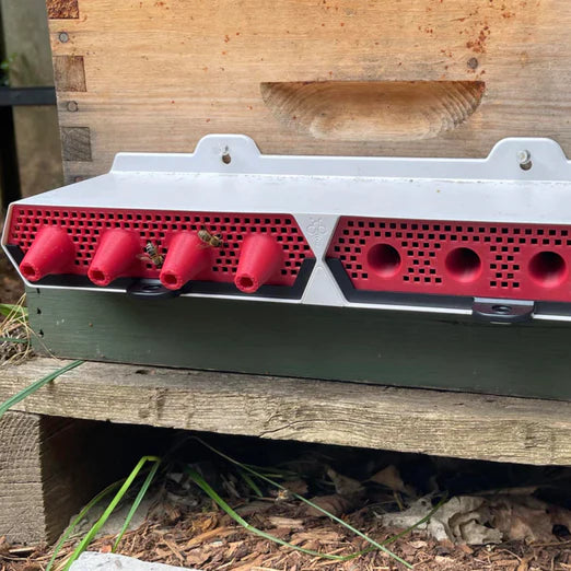 Protectabee Vented Cone Insert