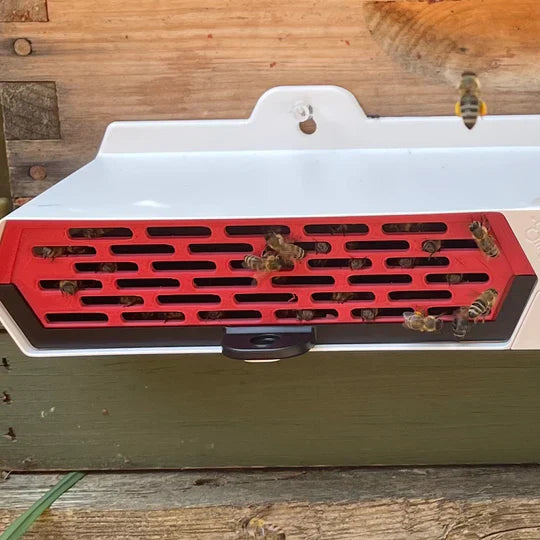 Protectabee Swarm Stopper Insert