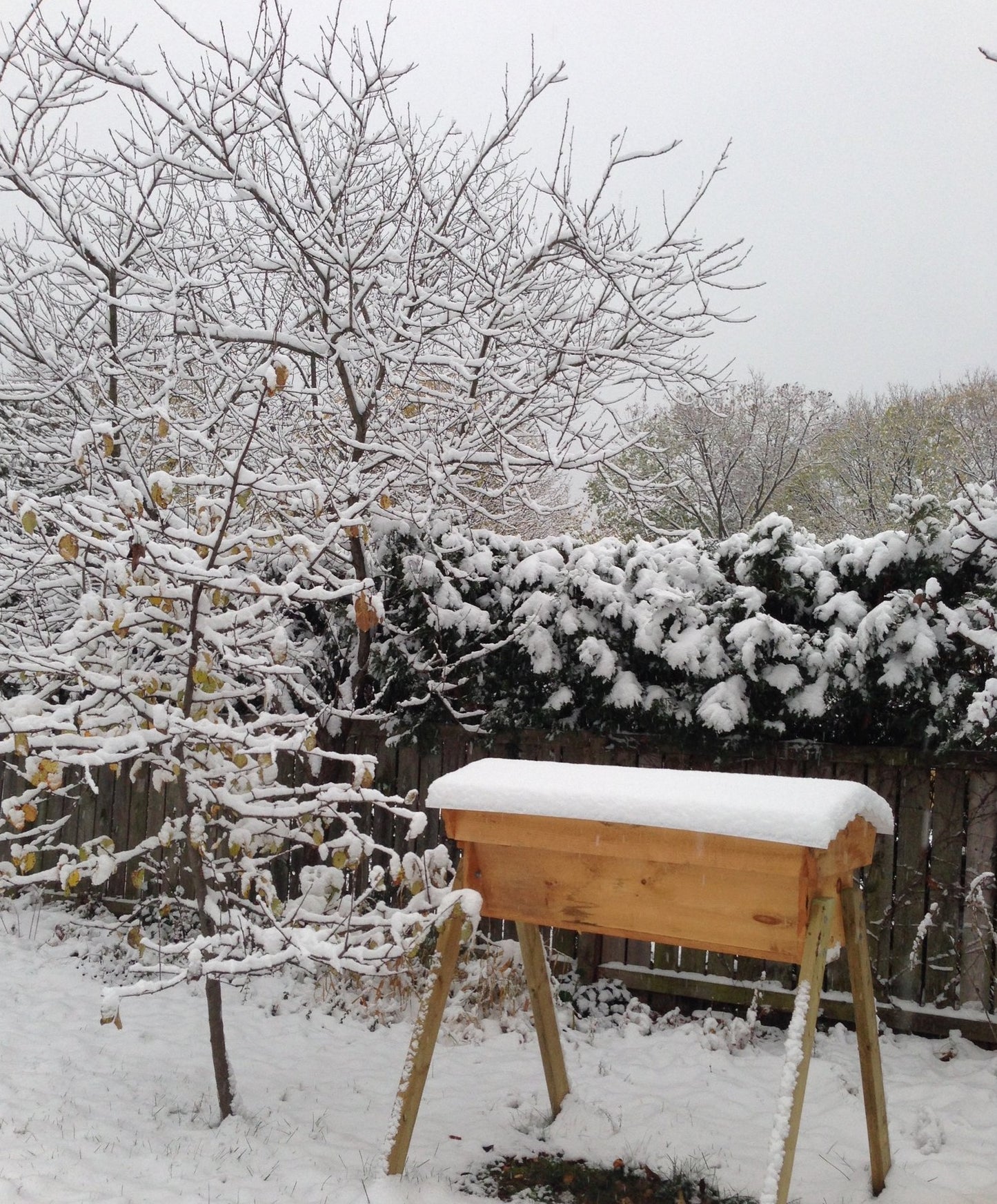 Preparing Bees for Winter -Online (Sunday October 5, 2025) 3-4pm