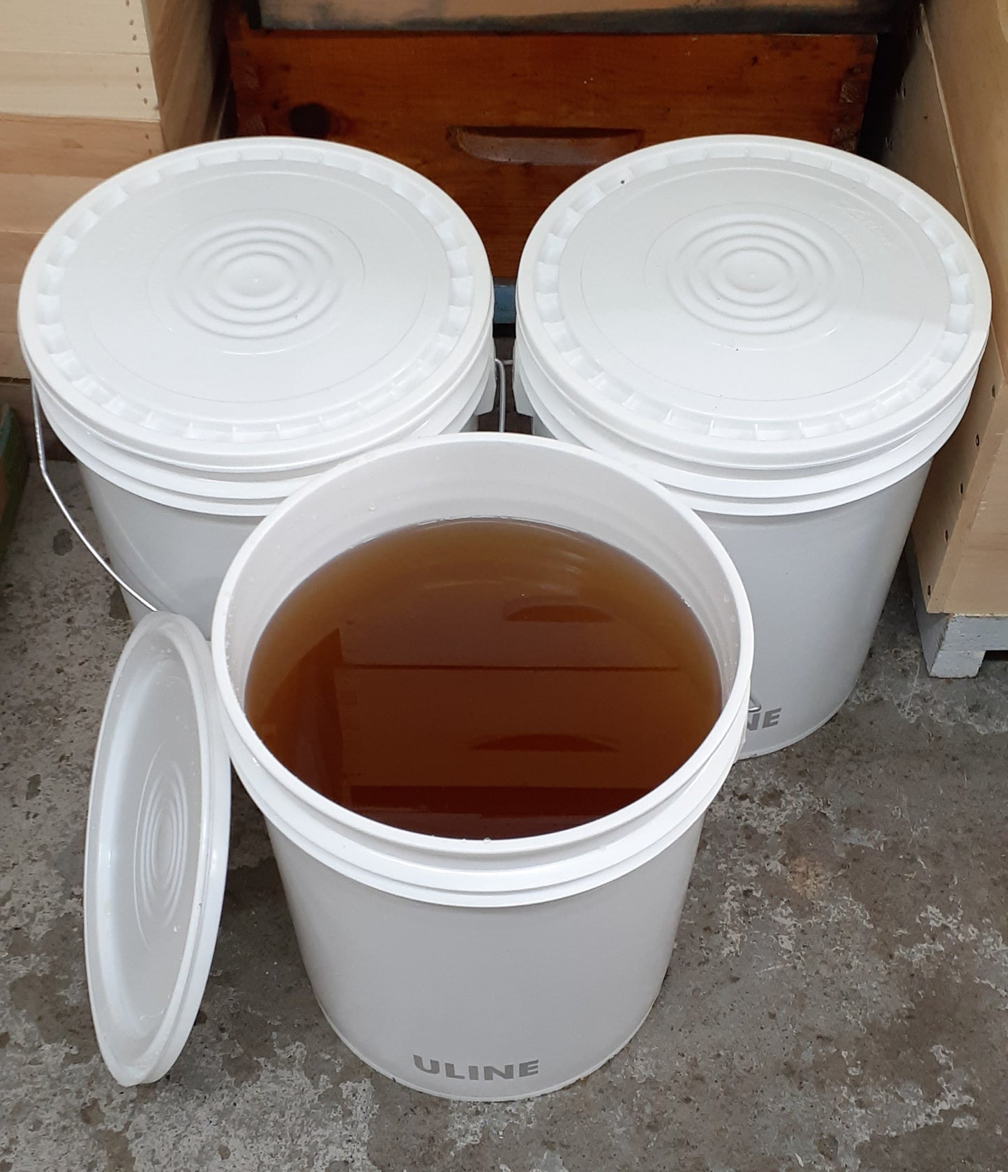 Humble Bee Raw Honey - 50lb pail