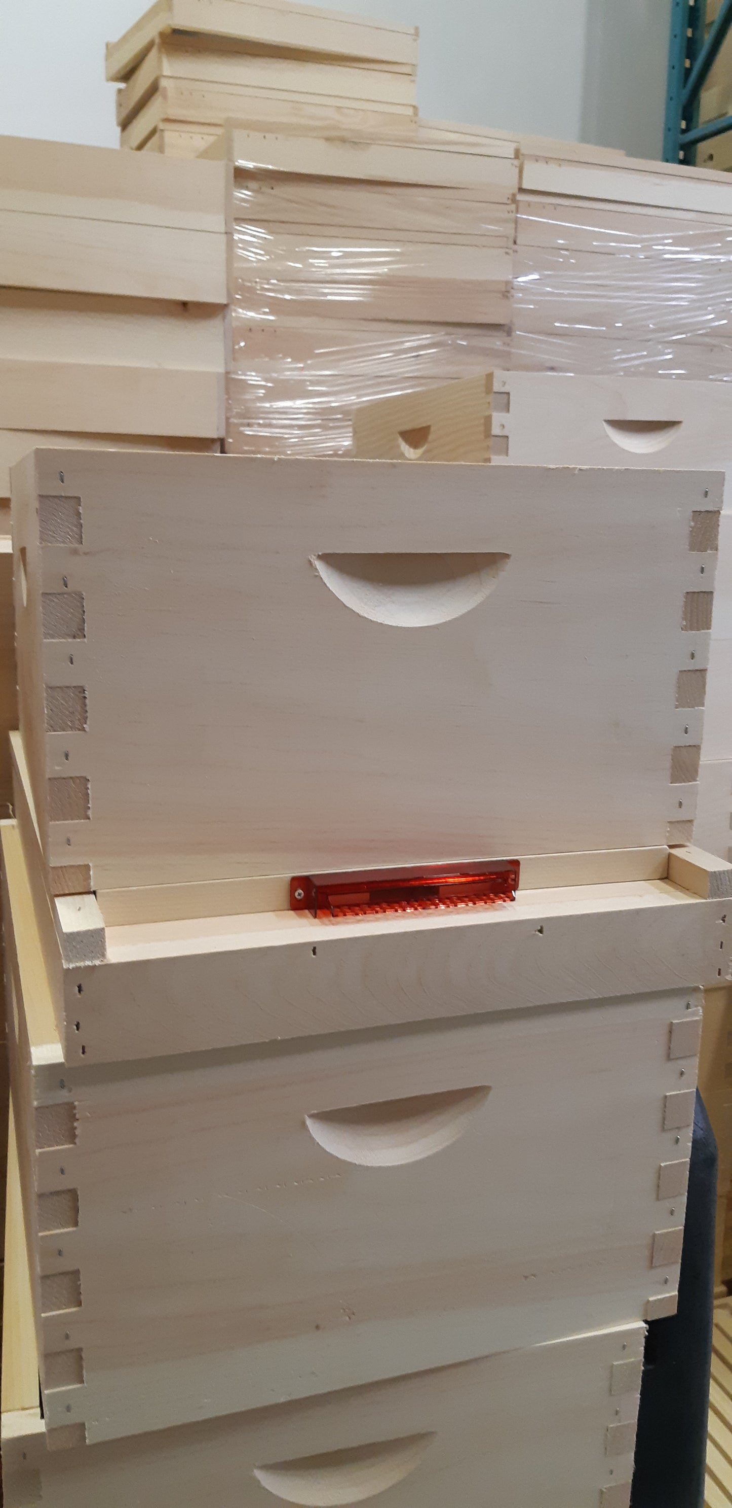 Guardian Small Hive Beetle Entrance