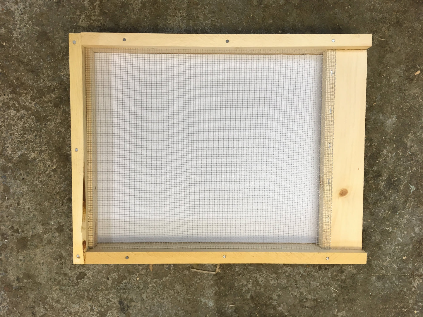 Screened Bottom Board