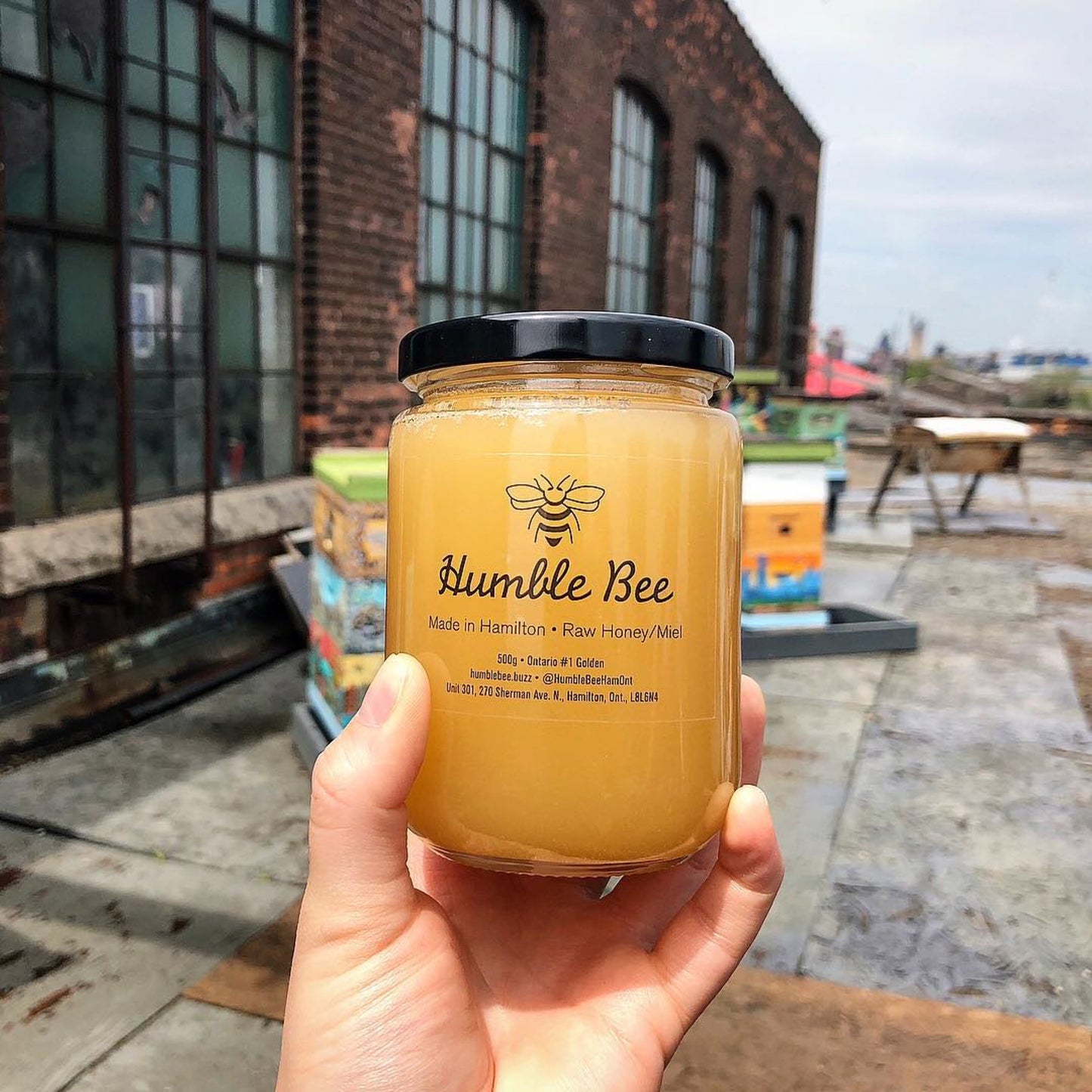 Humble Bee Raw Honey - 500g jar