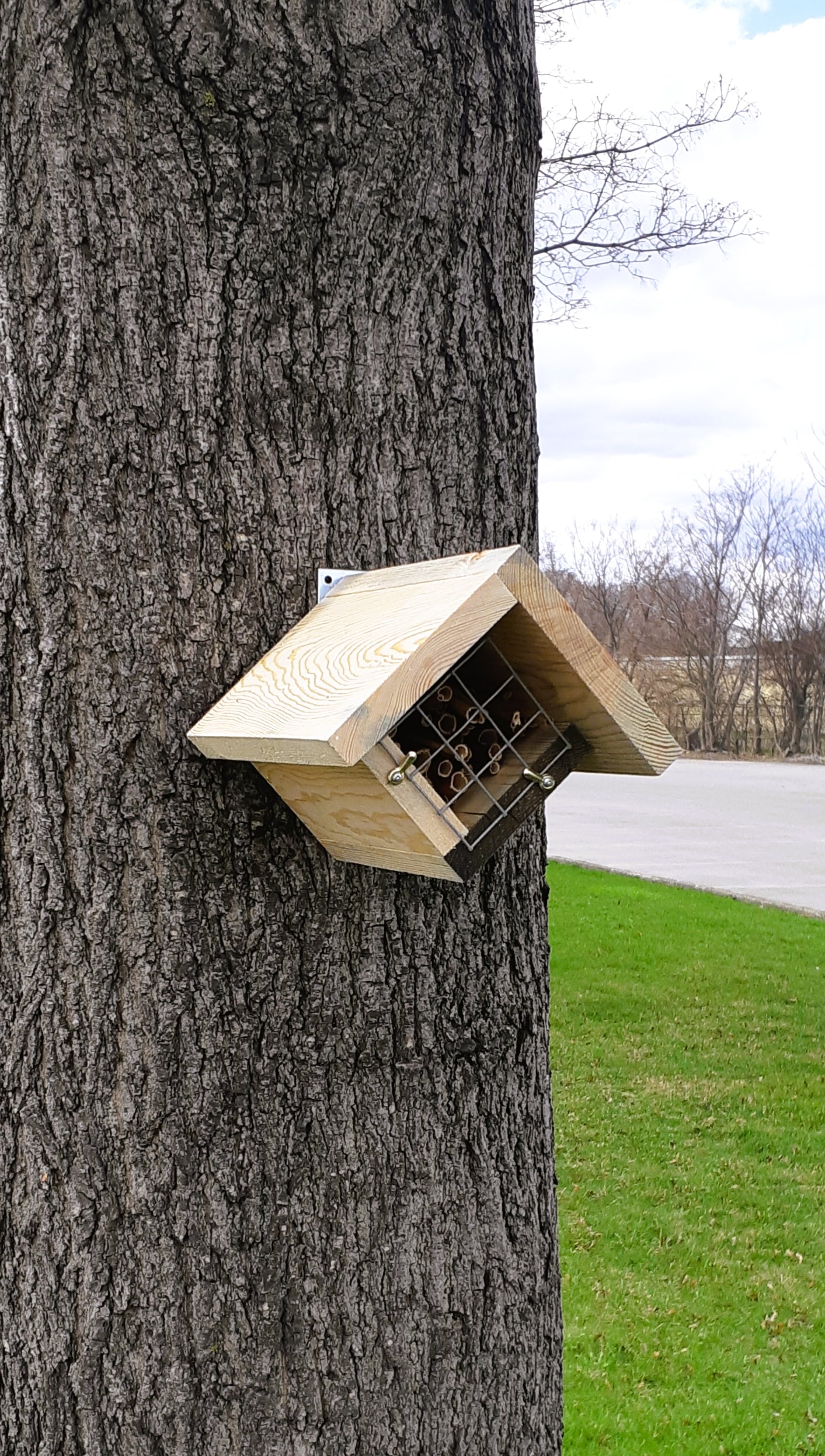 Native Bee Houses