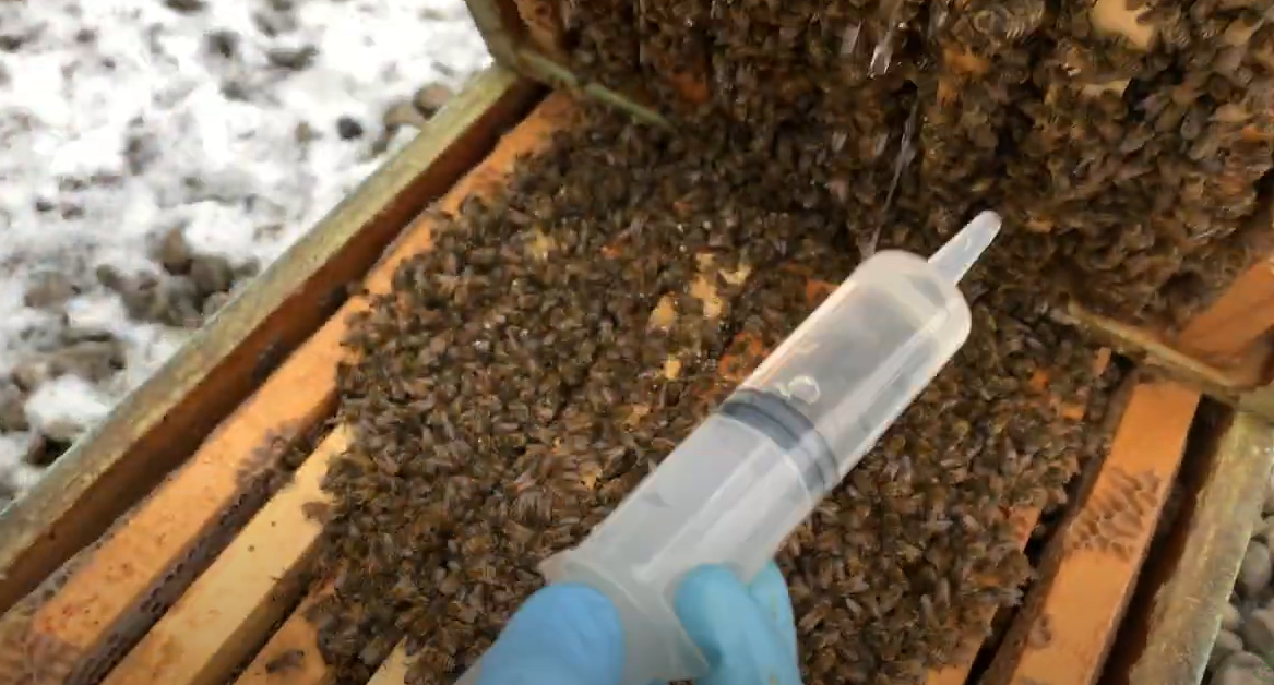 Oxalic Acid - Organic Varroa Treatment