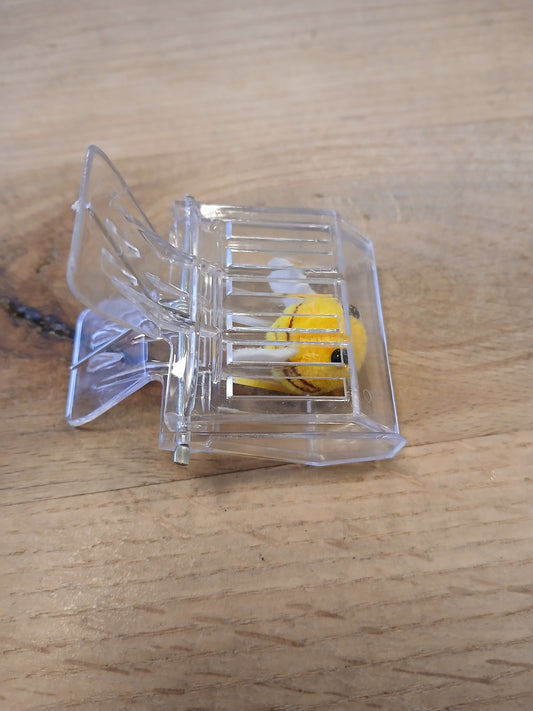 Queen Clip