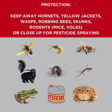 ProtectaBEE 10 Frame