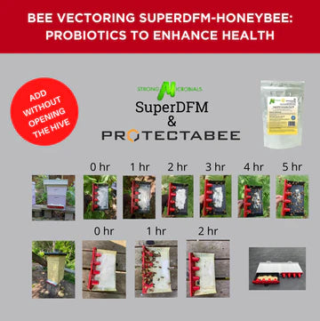 ProtectaBEE 10 Frame