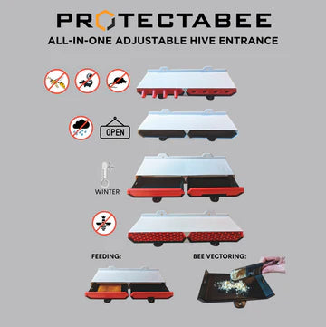 ProtectaBEE 10 Frame