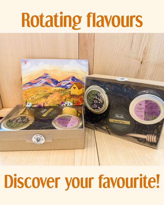 Honey Sommelier Gift Pack with Candles