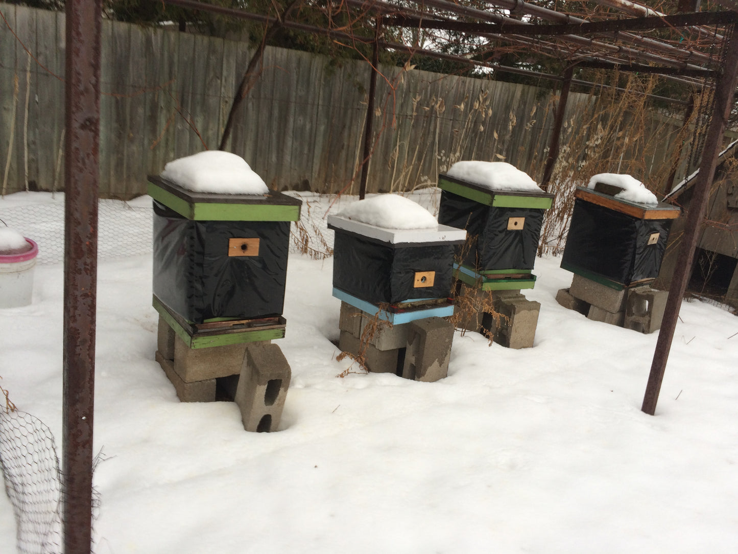 First Year Beekeeping  (including the winter!) August 15 and 16, 2026