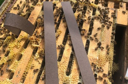 VarroxSan