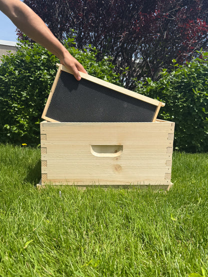 Deep frame, assembled WITH waxed foundation