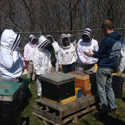 Preparing Bees for Winter - In Person Class (August 31, 2025)
