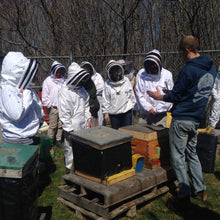 Preparing Bees for Winter - In Person Class