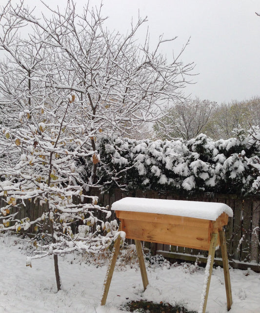 Preparing Bees for Winter - In Person Class (August 31, 2025)