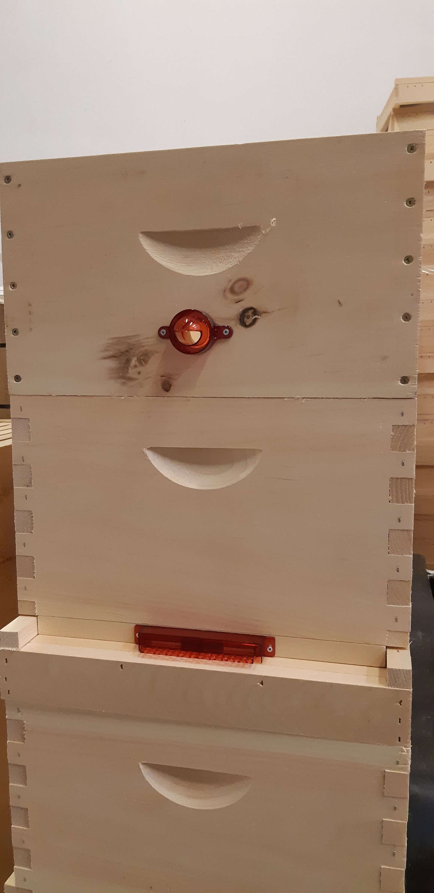 Guardian Small Hive Beetle Entrance
