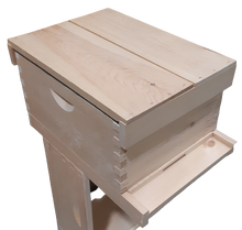 Mini Hive Kit-Order for Spring Pickup