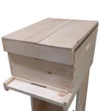 Mini Hive Kit-Order for Spring Pickup