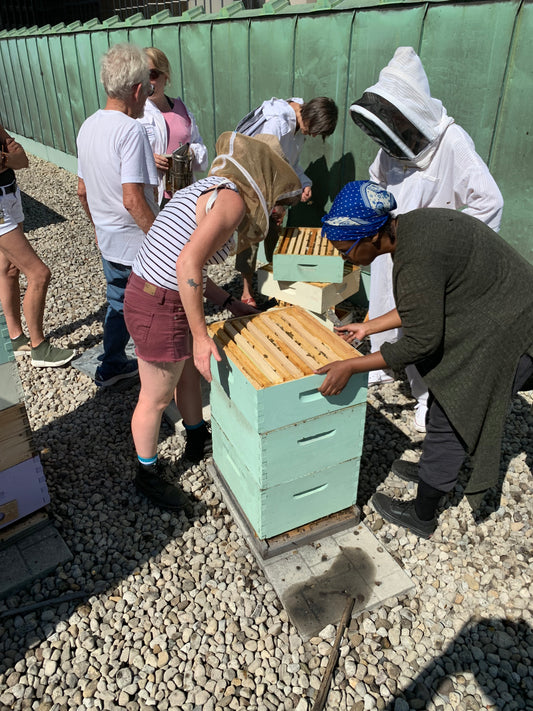 Sponsor a Hive