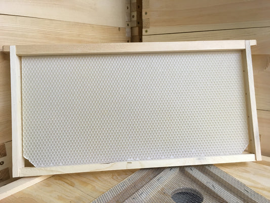 Medium frame, assembled with waxed foundation
