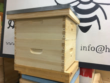 Basic Hive Kit-Order for Spring Pickup