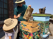 Practical Beekeeping Skills: how to work a beehive 1pm - 5pm