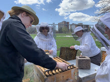 Practical Beekeeping Skills: How to Work a Beehive 1pm - 5pm