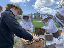Practical Beekeeping Skills: how to work a beehive 1pm - 5pm