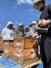 Practical Beekeeping Skills: How to Work a Beehive 1pm - 5pm