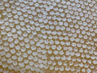 Ontario Raw Comb Honey