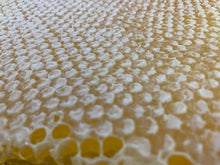 Ontario Raw Comb Honey