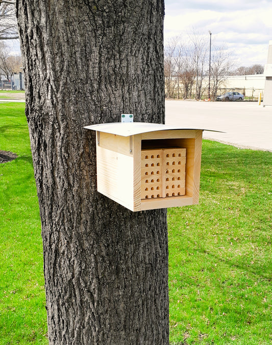 Native Bee Houses